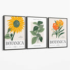 Set of 3 Green and Yellow Flower Market Sunflower Canvas Art Prints with Grey Float Frame