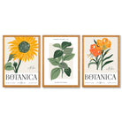Set of 3 Green and Yellow Flower Market Sunflower Framed Art Prints with Oak Wooden Frames