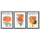 Set of 3 Green and Orange Flower Market Blooms Framed Art Prints with Black Wooden Frames