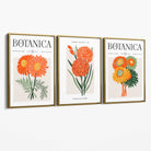 Set of 3 Green and Orange Flower Market Blooms Canvas Art Prints with Gold Float Frame