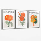 Set of 3 Green and Orange Flower Market Blooms Canvas Art Prints with Silver Float Frame