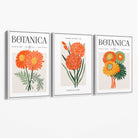 Set of 3 Green and Orange Flower Market Blooms Canvas Art Prints with White Float Frame