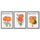 Set of 3 Green and Orange Flower Market Blooms Framed Art Prints with Dark Grey Wooden Frames