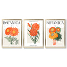 Set of 3 Green and Orange Flower Market Blooms Framed Art Prints with Gold Wood Frames