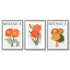 Set of 3 Green and Orange Flower Market Blooms Framed Art Prints with Light Grey Wooden Frames