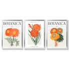 Set of 3 Green and Orange Flower Market Blooms Framed Art Prints with Silver Wood Frames