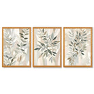Sage Green and Beige Floral Leaves Set of 3 Framed Art Prints with Oak Wooden Frames