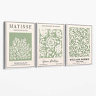 Set of 3 Matisse and William Morris Sage Green Floral Canvas Art Prints with White Float Frame