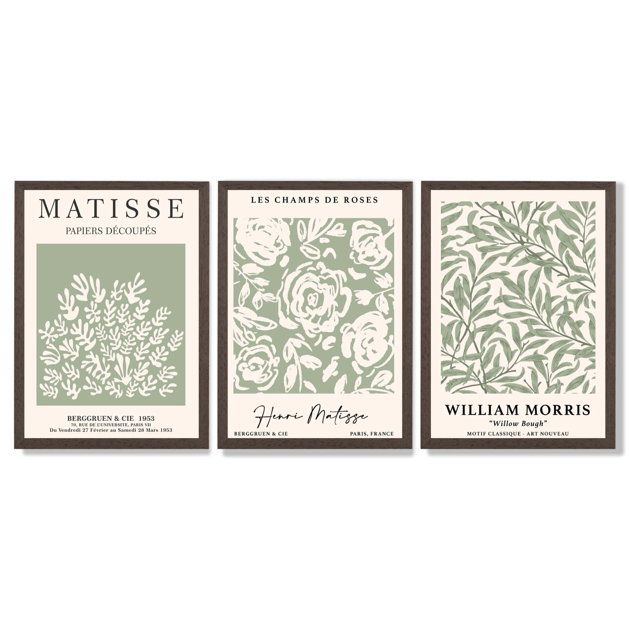 Set of 3 Matisse and William Morris Sage Green Floral Framed Art Prints with Dark Wood Frames
