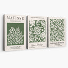 Set of 3 Matisse and William Morris Green Floral Canvas Art Prints | Artze Wall Art