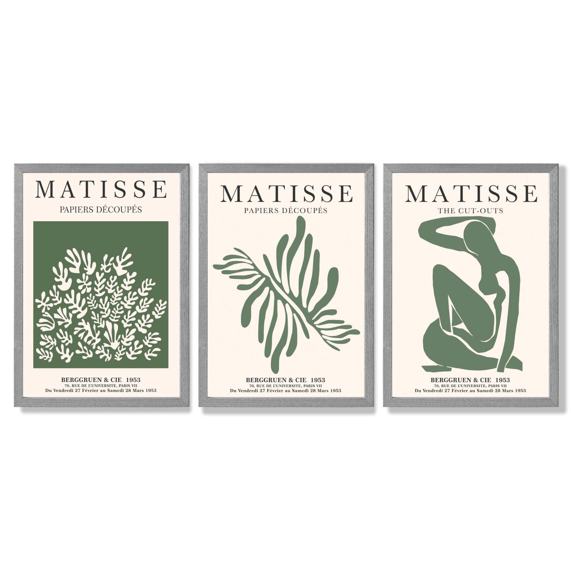 Set of 3 Matisse Floral Cutouts in Dark Green Framed Wall Art with Light Grey Wooden Frames
