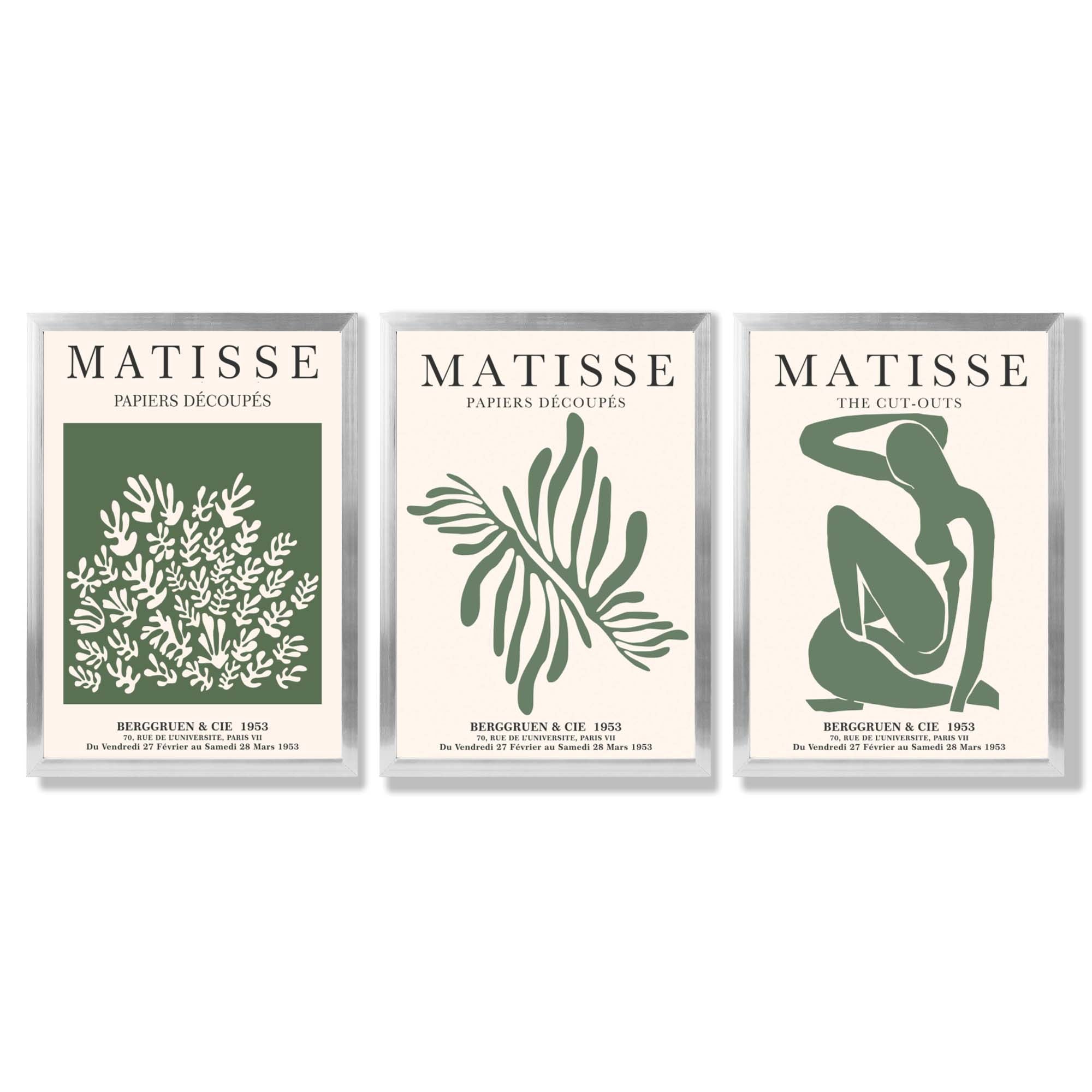 Set of 3 Matisse Floral Cutouts in Dark Green Framed Wall Art with Silver Wood Frames