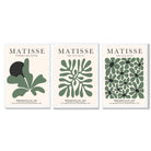 Set of 3 Matisse Floral Cutouts in Dark Green Framed Wall Art with White Wooden Frames