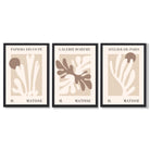 Matisse Beige and Brown Boho Botanical Set of 3 Framed Wall Art with Black Wooden Frames