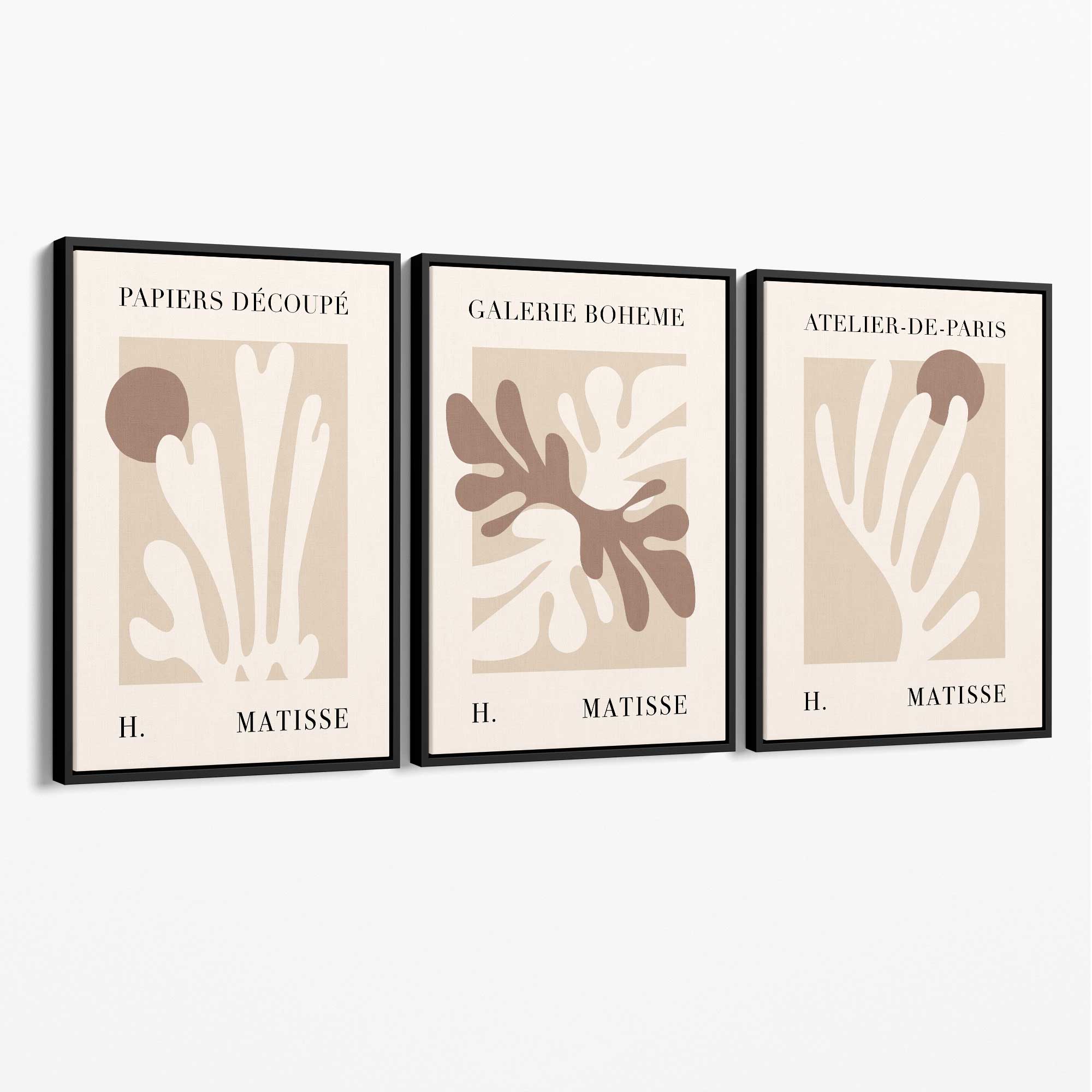 Matisse Beige and Brown Boho Botanical Set of 3 Canvas Prints with Black Float Frame