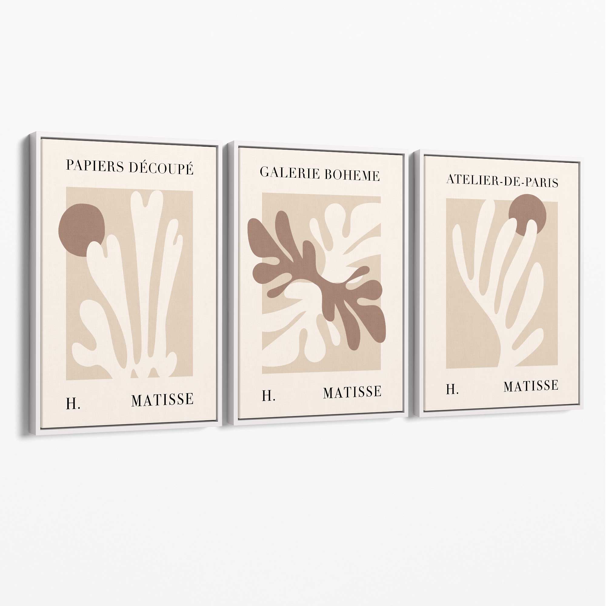 Matisse Beige and Brown Boho Botanical Set of 3 Canvas Prints with White Float Frame