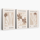 Matisse Beige and Brown Boho Botanical Set of 3 Canvas Prints | Artze Wall Art