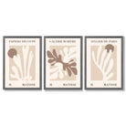 Matisse Beige and Brown Boho Botanical Set of 3 Framed Wall Art with Dark Grey Wooden Frames
