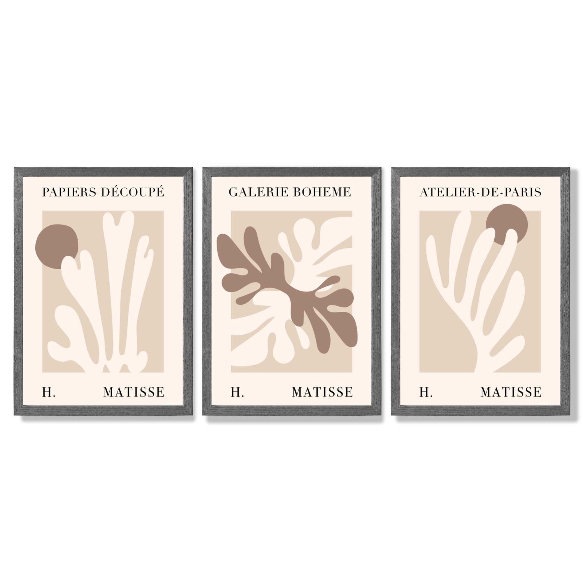 Matisse Beige and Brown Boho Botanical Set of 3 Framed Wall Art with Dark Grey Wooden Frames