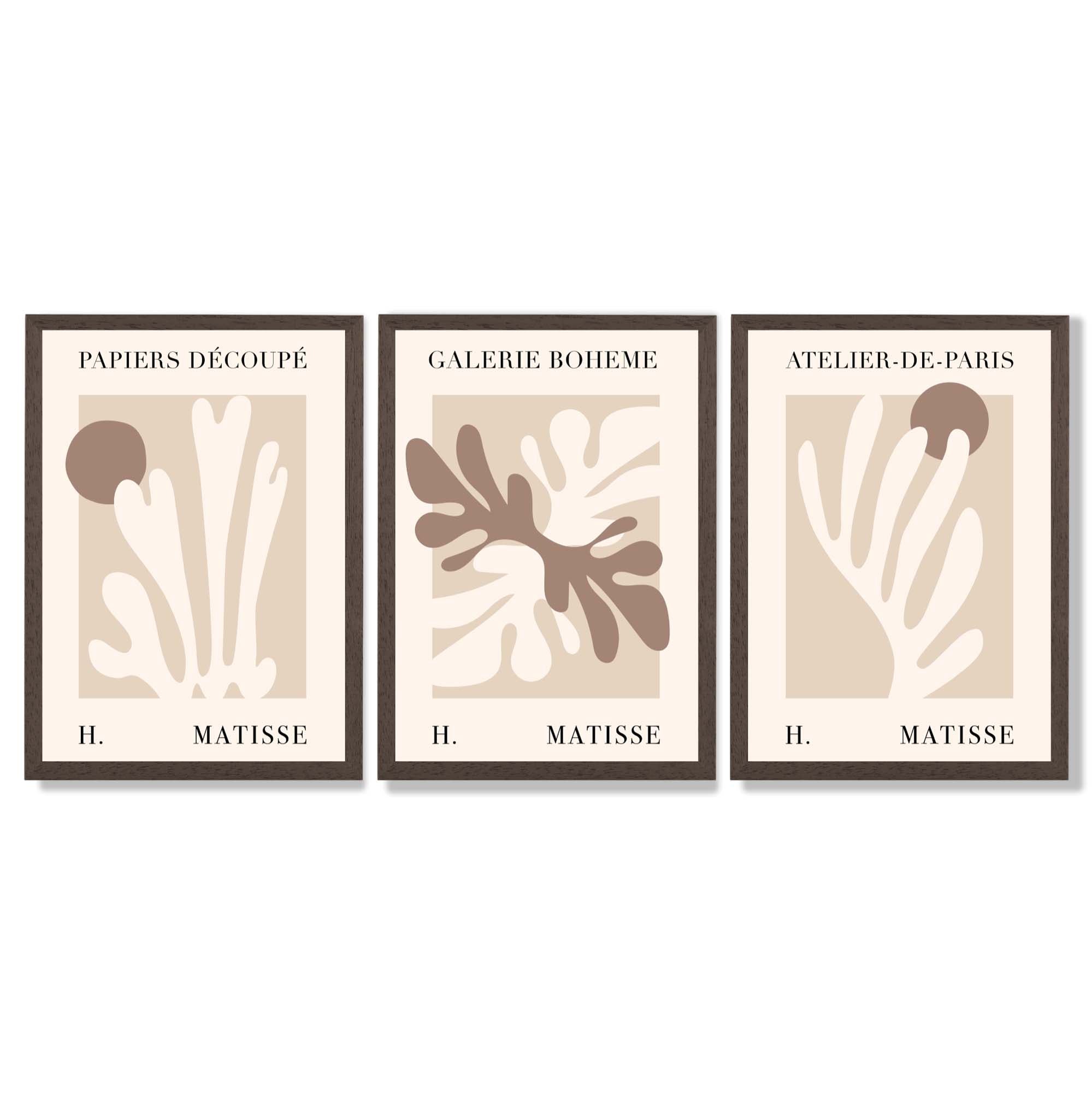 Matisse Beige and Brown Boho Botanical Set of 3 Framed Wall Art with Dark Wood Frames