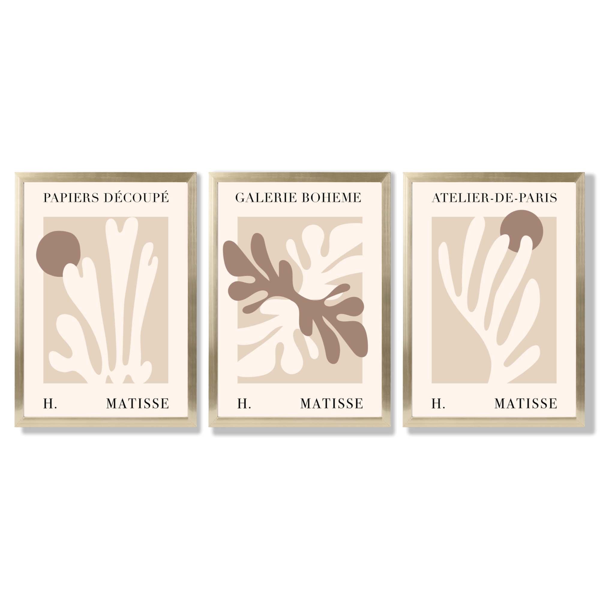 Matisse Beige and Brown Boho Botanical Set of 3 Framed Wall Art with Gold Wood Frames