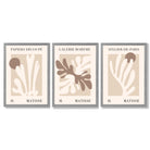 Matisse Beige and Brown Boho Botanical Set of 3 Framed Wall Art with Light Grey Wooden Frames