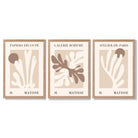 Matisse Beige and Brown Boho Botanical Set of 3 Framed Wall Art with Light Oak Frames