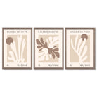 Matisse Beige and Brown Boho Botanical Set of 3 Framed Wall Art with Light Walnut Frames