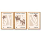 Matisse Beige and Brown Boho Botanical Set of 3 Framed Wall Art with Oak Wooden Frames