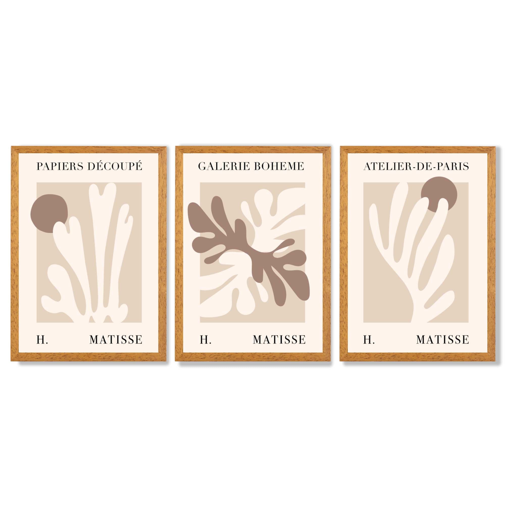 Matisse Beige and Brown Boho Botanical Set of 3 Framed Wall Art with Oak Wooden Frames