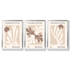 Matisse Beige and Brown Boho Botanical Set of 3 Framed Wall Art with Silver Wood Frames
