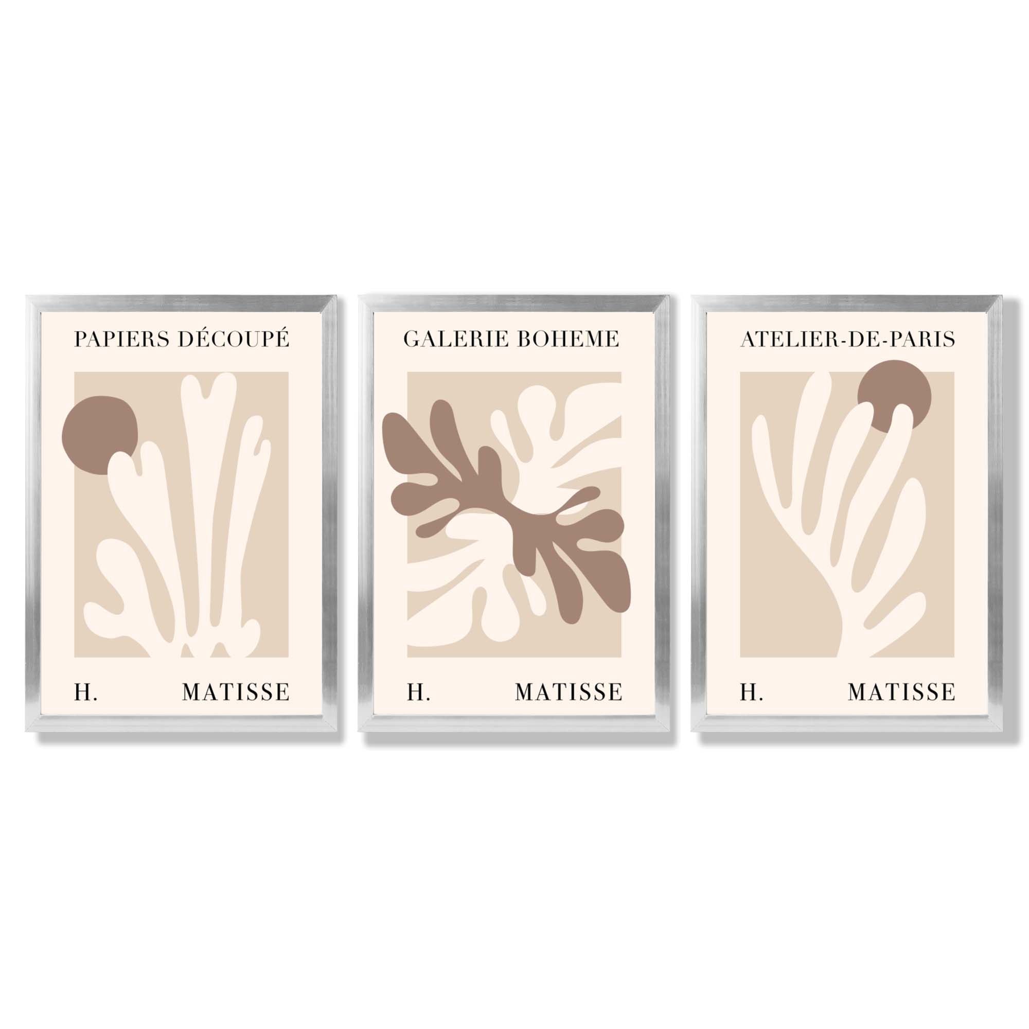 Matisse Beige and Brown Boho Botanical Set of 3 Framed Wall Art with Silver Wood Frames