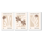 Matisse Beige and Brown Boho Botanical Set of 3 Framed Wall Art with White Wooden Frames