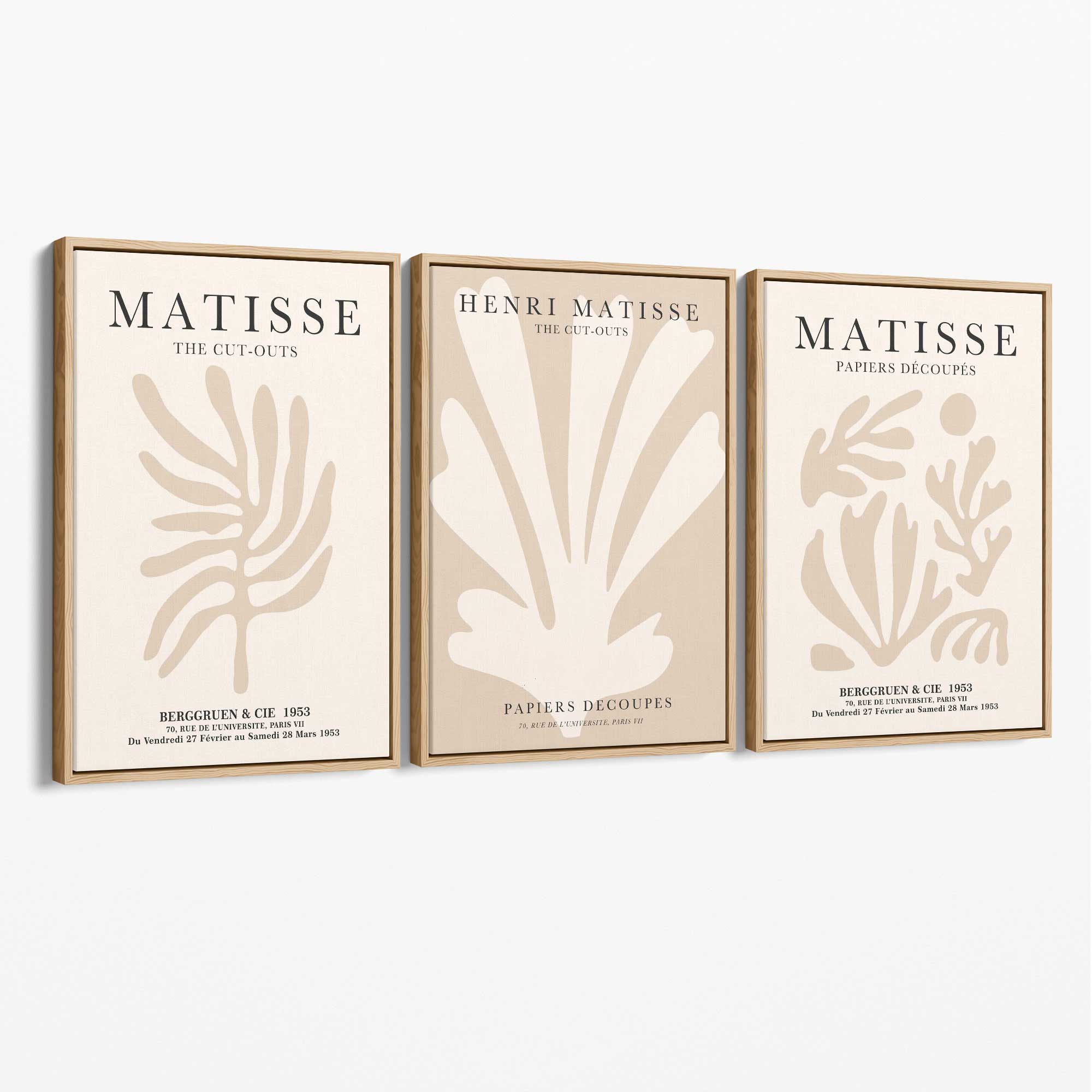 Set of 3 Matisse Botanical Beige Canvas Prints with Oak Float Frame