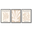 Set of 3 Matisse Botanical Beige Framed Wall Art with Dark Grey Wooden Frames