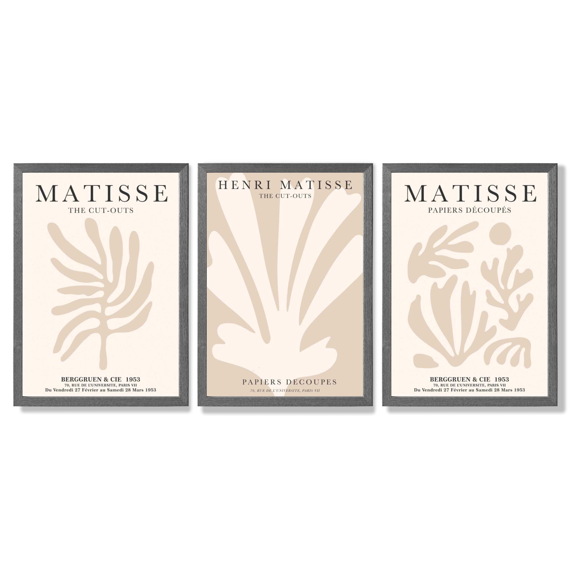 Set of 3 Matisse Botanical Beige Framed Wall Art with Dark Grey Wooden Frames