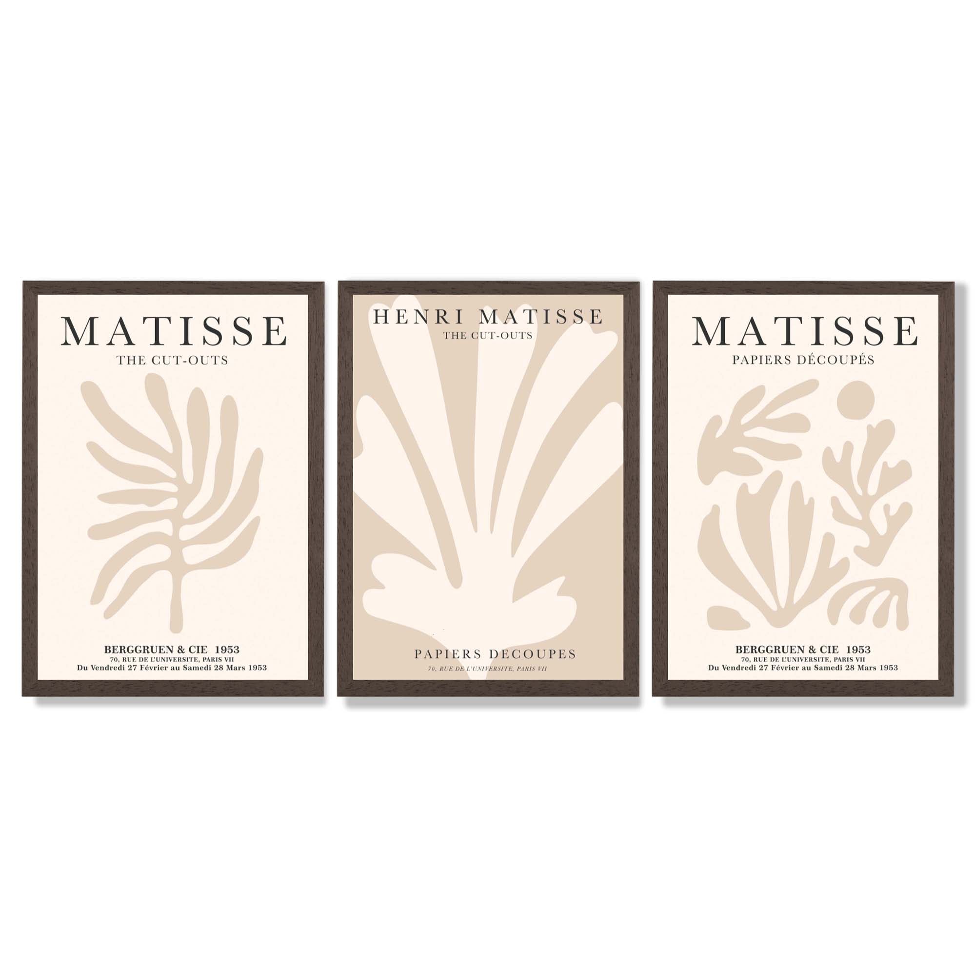 Set of 3 Matisse Botanical Beige Framed Wall Art with Dark Wood Frames