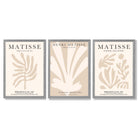 Set of 3 Matisse Botanical Beige Framed Wall Art with Light Grey Wooden Frames