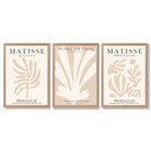 Set of 3 Matisse Botanical Beige Framed Wall Art with Light Oak Frames