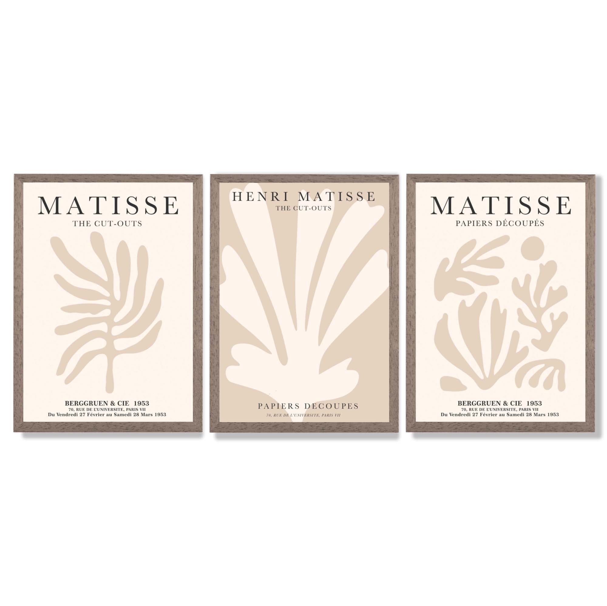 Set of 3 Matisse Botanical Beige Framed Wall Art with Light Walnut Frames