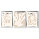 Set of 3 Matisse Botanical Beige Framed Wall Art with Silver Wood Frames