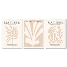 Set of 3 Matisse Botanical Beige Framed Wall Art with White Wooden Frames