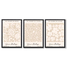 Set of 3 Floral Matisse Roses in Beige Framed Wall Art with Black Wooden Frames