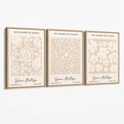 Set of 3 Floral Matisse Roses in Beige Canvas Prints with Oak Float Frame