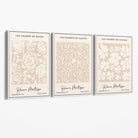 Set of 3 Floral Matisse Roses in Beige Canvas Prints with White Float Frame