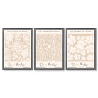 Set of 3 Floral Matisse Roses in Beige Framed Wall Art with Dark Grey Wooden Frames