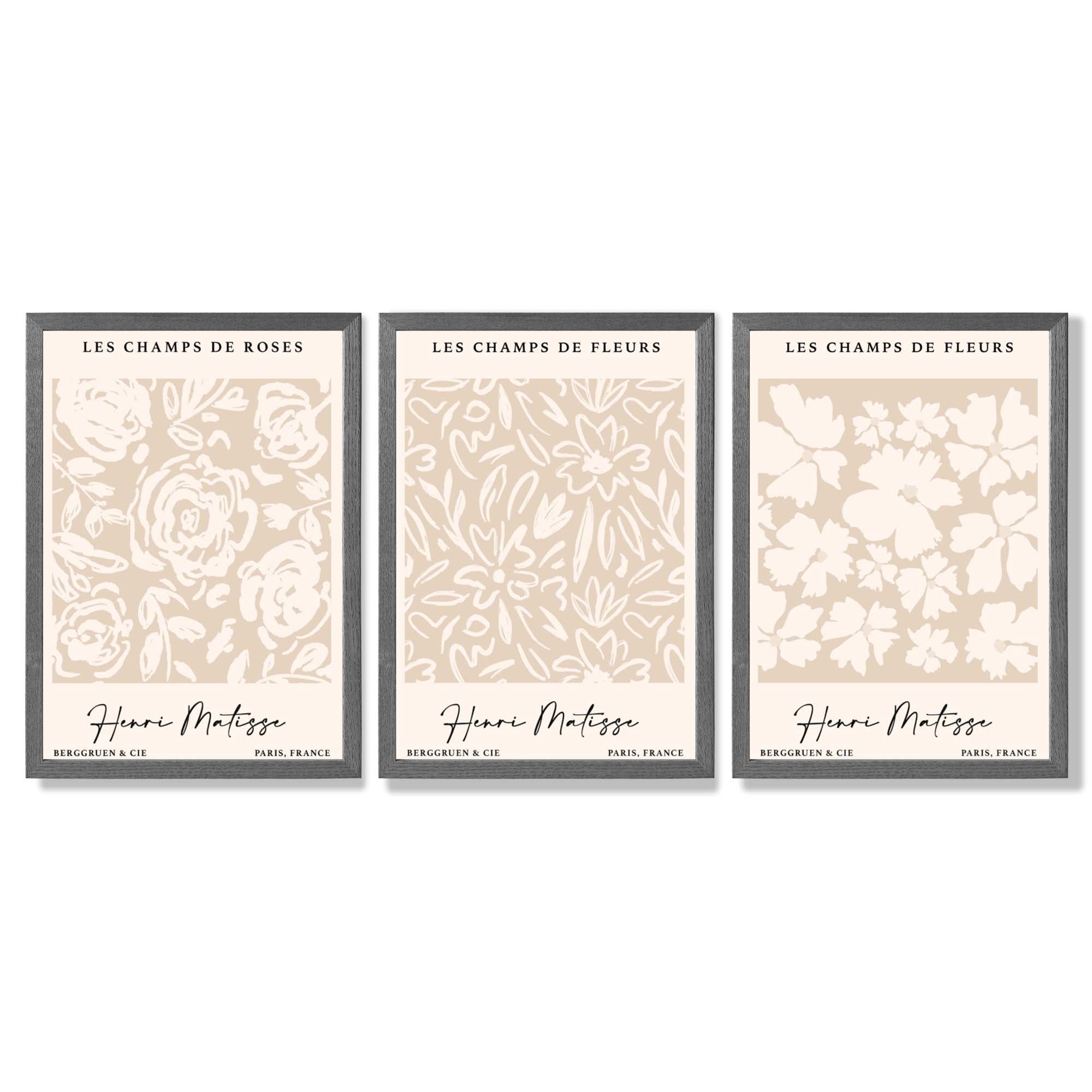 Set of 3 Floral Matisse Roses in Beige Framed Wall Art with Dark Grey Wooden Frames