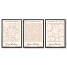 Set of 3 Floral Matisse Roses in Beige Framed Wall Art with Dark Wood Frames