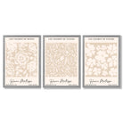 Set of 3 Floral Matisse Roses in Beige Framed Wall Art with Light Grey Wooden Frames