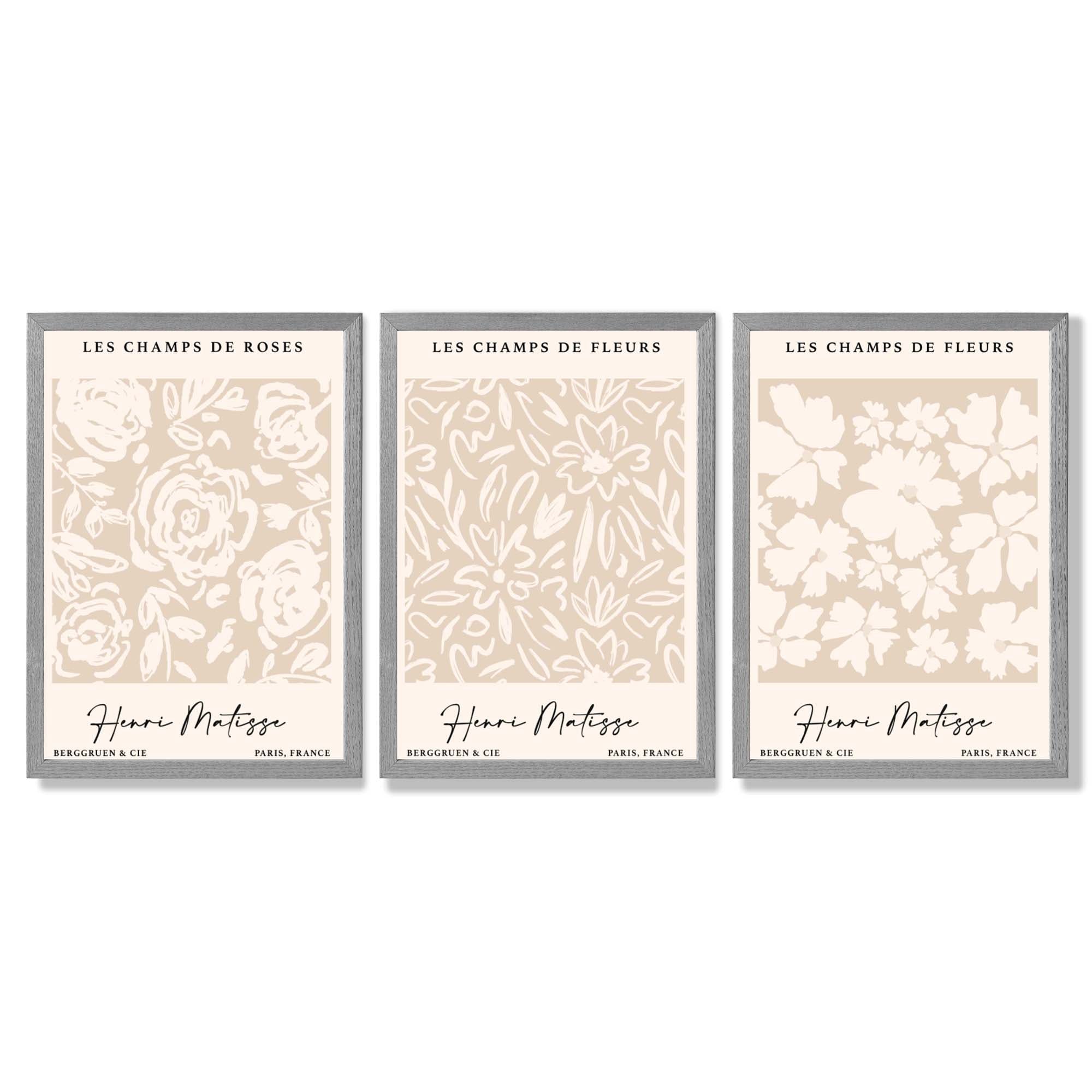 Set of 3 Floral Matisse Roses in Beige Framed Wall Art with Light Grey Wooden Frames